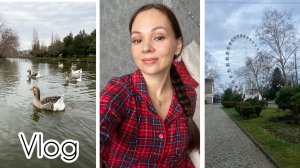 Влог: Колесо Обозрения/ Мы живём в лучшее время! / Подводит телефон