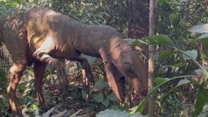 🦕🦖Парк Юрского периода, Китай