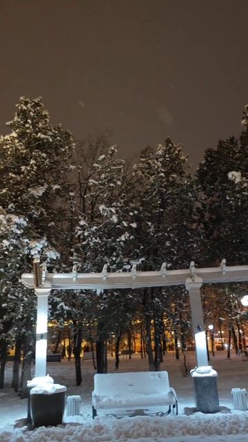 снежная новогодняя елка в Черкесске #Черкесск смотреть онлайн