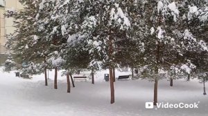 Ещё один день новогодних каникул.