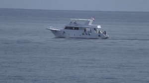 Египет декабрь 2025 #1