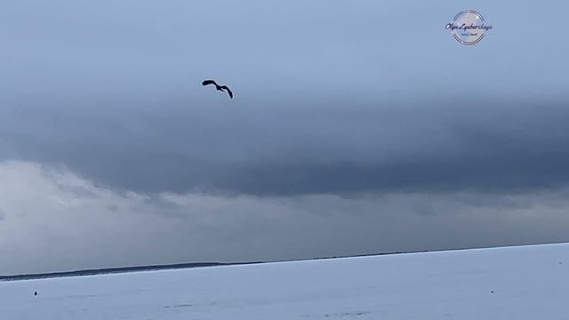Человек влюбленный в Сахалин смотреть онлайн