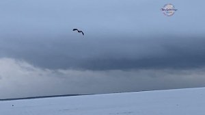 Человек влюбленный в Сахалин