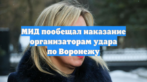 МИД пообещал наказание организаторам удара по Воронежу