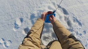 Рыбалка ШОК_ Думал ПУСТО, оказалось ГУСТО!