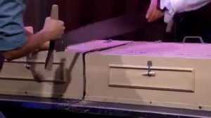 Marion Ravn Thin Model Sawing [get.gt]