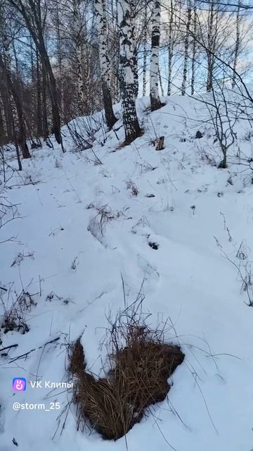 Мои самые первые видео декабрь 2024 смотреть онлайн