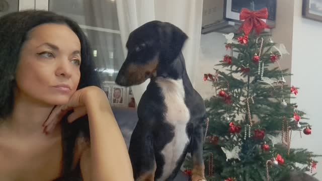 Получила семена! Показываю какие сорта заказала! Делаем пышный омлет и конфетки!