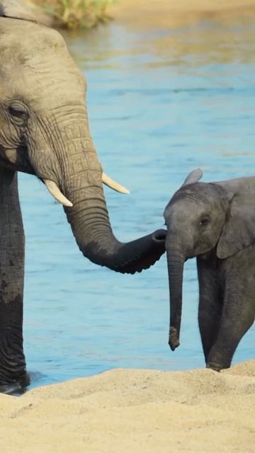 VID_20260111_133830_672.mp4