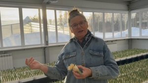 Сад Шубиной начинает прием заказов на тюльпаны к 8 марта! 🌷