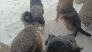 Херсонщина 11 января 2026 года