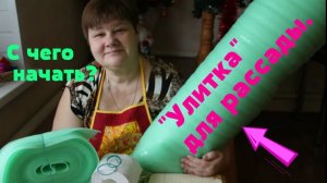 Моя рассада всегда крепка и коренастая! Секрет - "Улитка" для рассады. Как ее сделать.