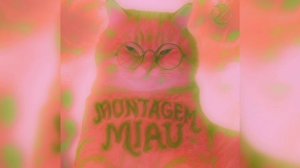Lenar - MONTAGEM MIAU (1 Hour)