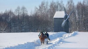 Сафари, баня и деревенский быт: агроусадьбы Беларуси стали самым популярным отдыхом у россиян