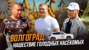 Волгоград удивил! Соя, Кукуруза, Подсолнечник | От вспашки до ноу-тилл | Агро тревел-шоу | АгроВояж