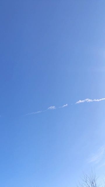 Никогда не отрывайся от коллектива.