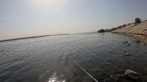 Ловля селёдки на блесну