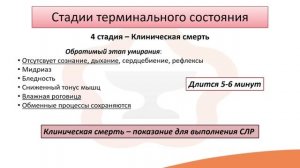 Лекция 5.1 Терминальное состояние