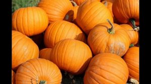 «Проблема выбора»