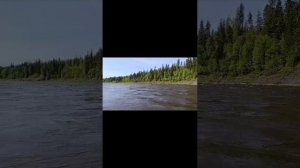 Сплав Чуна - Тасеева 2025