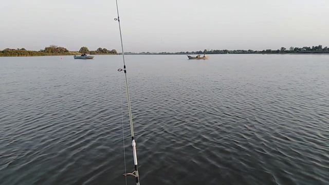 Рыбалка на Дону.