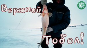ВЕРХНИЙ ТОБОЛ, 2026 ШАНЫРАК! СУДАК, ЩУКА, ОКУНЬ, ДВЕ НОЧИ НА ЛЬДУ С КОМФОРТОМ, РЫБАЛКА В КАЗАХСТАНЕ!