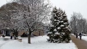 #ах зимушка зима в январе природа