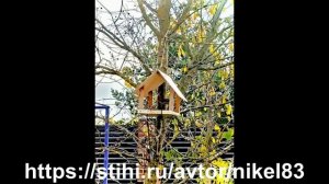 СКА. В октябре погожих дней так мало. Стихи Судавцев Константин