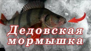 На что Клюёт Крупный Окунь ! ДЕДОВСКАЯ МОРМЫШКА НА Крупного Окуня!