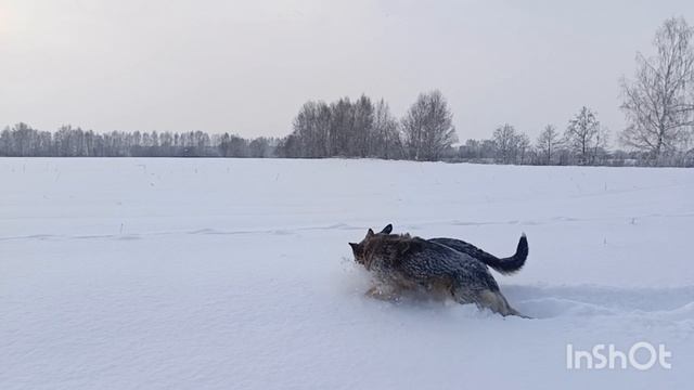 зима смотреть онлайн