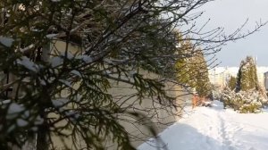 Снежное утро Калининград