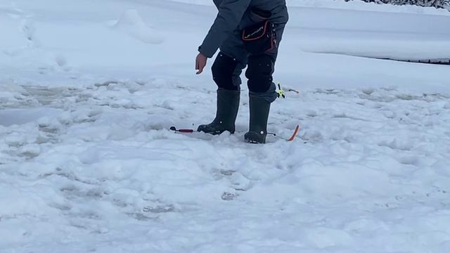 Основной водоём.Форель на пасту. смотреть онлайн