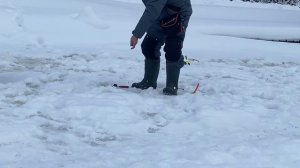 Основной водоём.Форель на пасту.