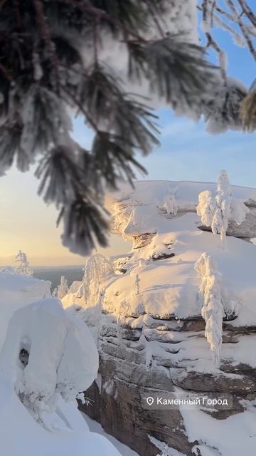 VID_20260111_084018_580.mp4