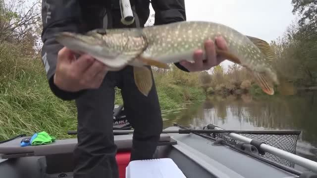 Как легко поймать щуку на спиннинг! Стоянки щуки на малой реке. Осенняя рыбалка.