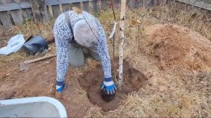 N°13. ЗАКЛАДЫВАЕМ СВОЙ САД.#домвдеревне #сад #малина #дача #хутор #изгородавдеревню