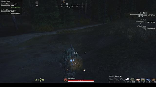 Возвращяемся на Любич