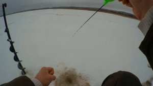 Ловля окуня в глухозимье, рыбалка 2026