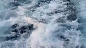 #вспомним море ⛵ теплоход путешествие по морю