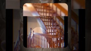 1000045717.mp4 (Собака наблюдает за устройством лестницы на 2 этаж в доме А-фрейм)