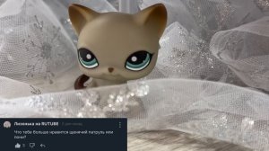 ВОПРОС-ОТВЕТ.