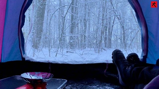 Расслабляющие Звуки Зимнего леса. Лес для Сна. Белый шум смотреть онлайн