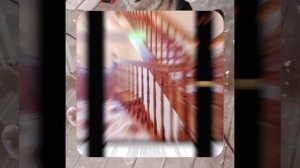 1000045714.mp4 (Собака наблюдает за устройством лестницы на 2 этаж в доме А-фрейм)