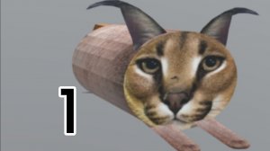 5 ночей со Шлёпой ночь 1