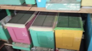 Проверяю пчёлок 29.12.25 Ядреный зверь в зимовнике