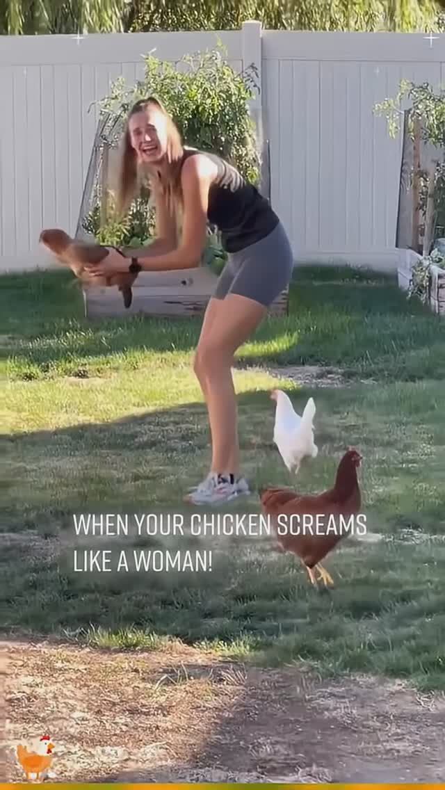 Приколюхи с боевыми курами🤣 смотреть онлайн