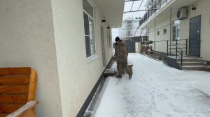 В Анапу пришла зима. Выносим домашнее вино на мороз