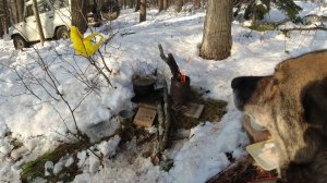 Металлокоп всё!Поставить бы здесь избу!Снегохода нет!Хороший был сезон!Планы на следующий год