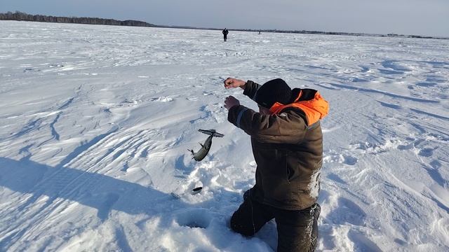 Рыбалка на жерлицы. Тащим щуку даже лёжа. смотреть онлайн
