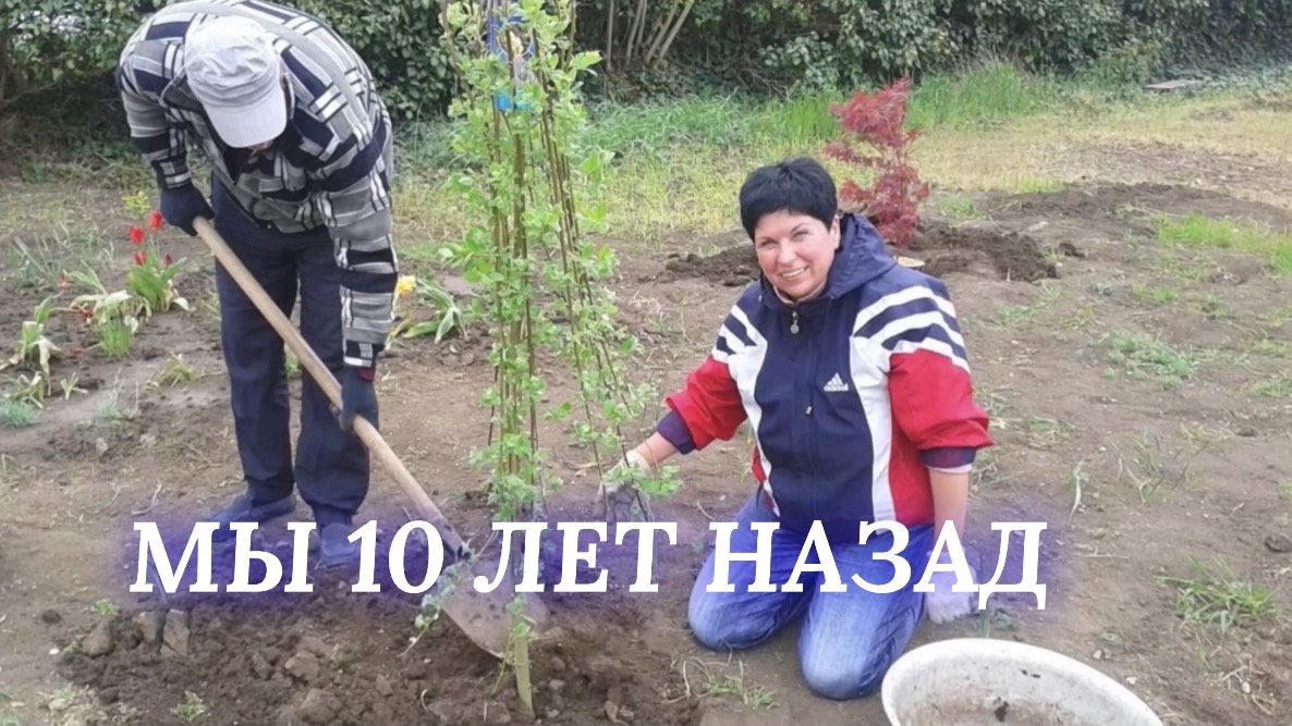 12.01.26 ПОРА НА РАБОТУ. Вспомнила прошлое😊 Черноморское зимой смотреть онлайн